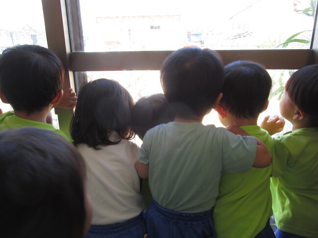 ぱんだ