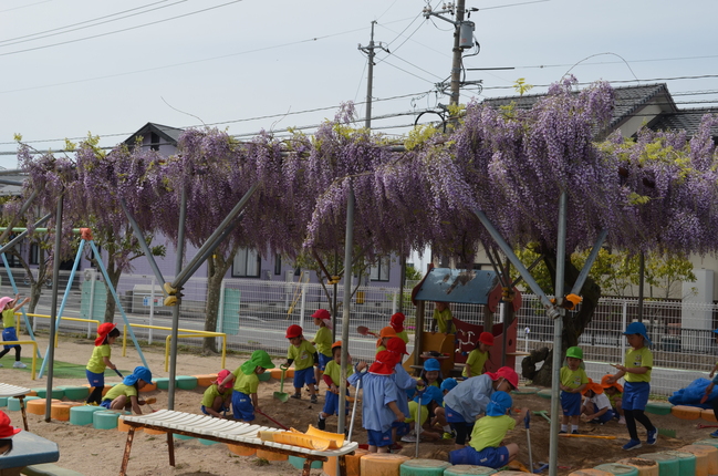 朝の活動
