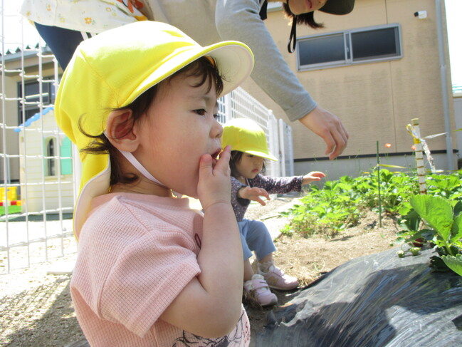 １歳児クラス