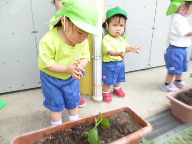 2歳児