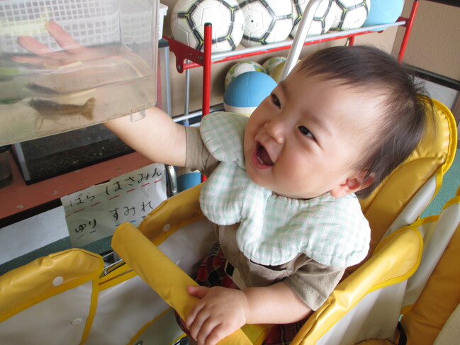 ０歳児