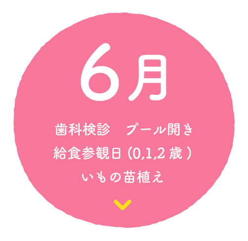 6月
