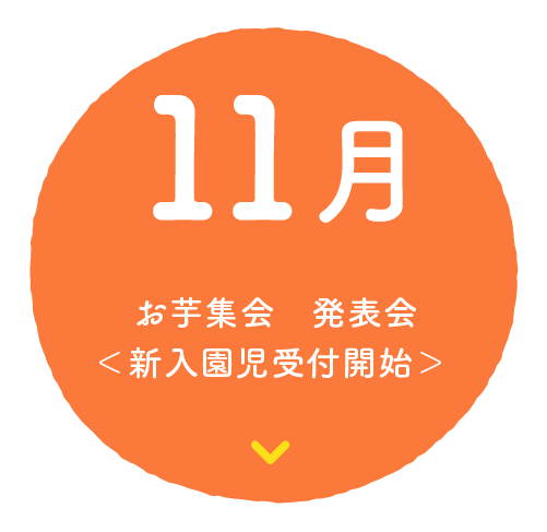 11月