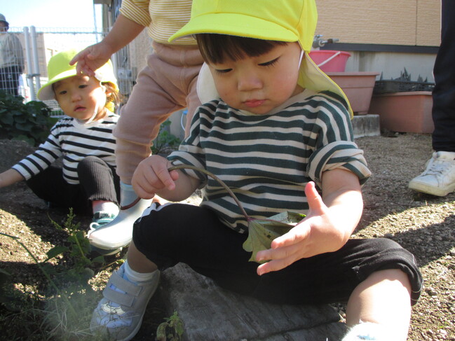 ０・１歳児クラスの様子