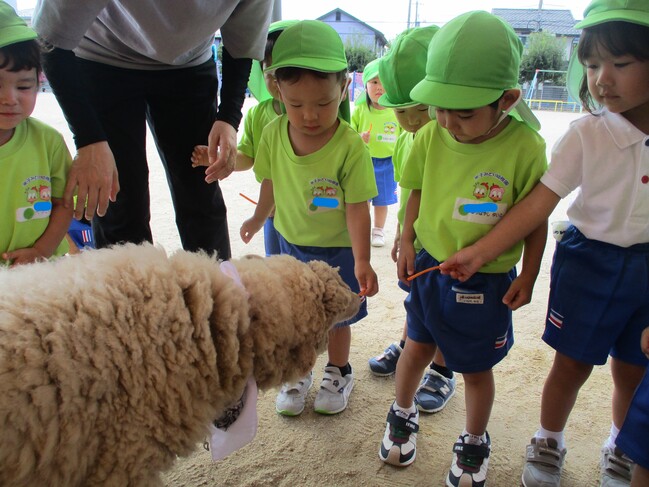 ２歳児