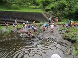 川あそび