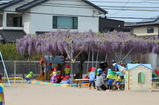 朝の活動