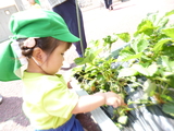 ２歳児クラス