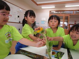 年中組
