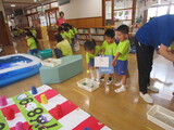 年中組