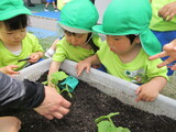 2歳児クラス