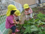 １歳児クラス